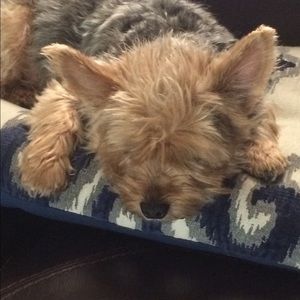 Meet your Posher, Mari